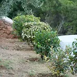 Agia Sofia ένα υπέροχο καταφύγιο στο βουνό