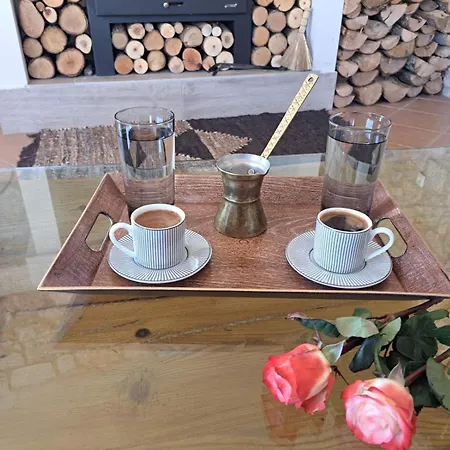 Βίλα Villa Agia Sofia ένα υπέροχο καταφύγιο στο βουνό