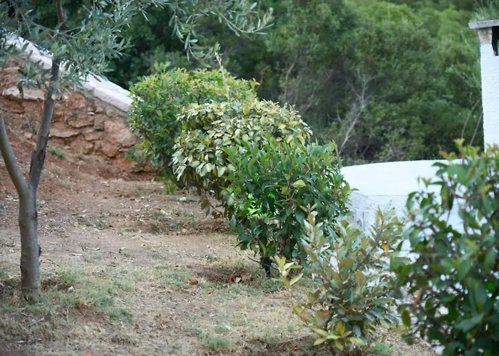 Villa Agia Sofia ένα υπέροχο καταφύγιο στο βουνό